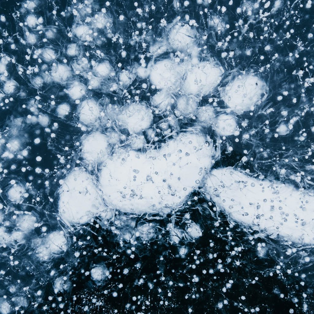 Microbiology and Bioinformatics