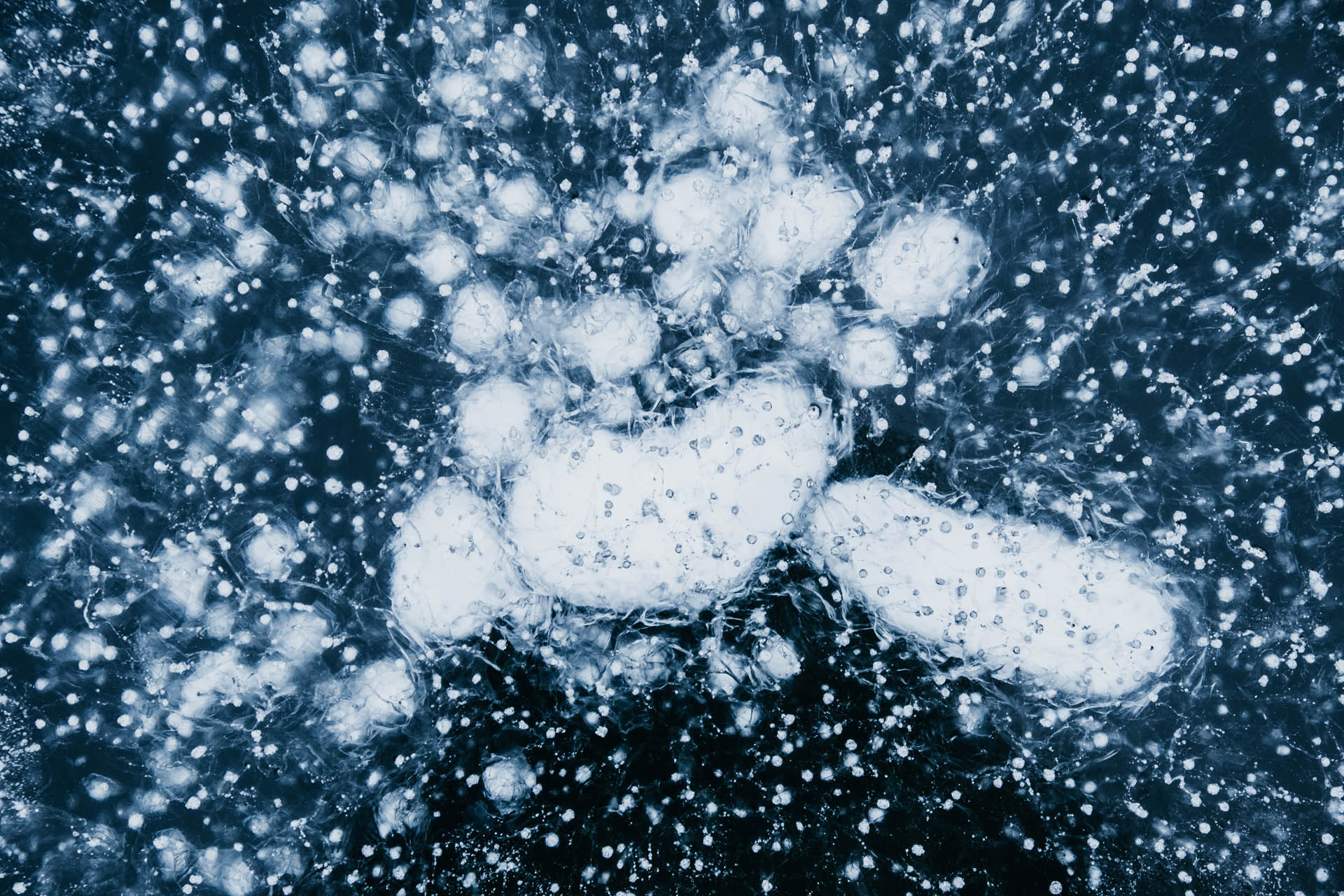Microbiology and Bioinformatics